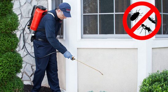 Bor Gümüşkurt İlaçlama böcek ilaçlama ve haşere kontrolü — ilaclama-tr.com
